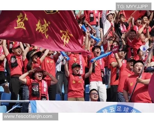 南京排球队状态分析：聚焦球队表现与未来发展方向